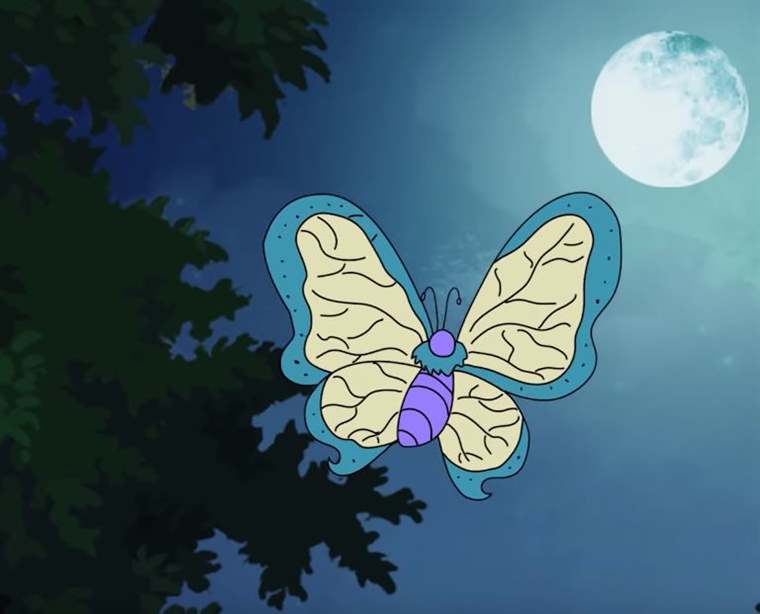 Con ngài vải - Con bướm đêm