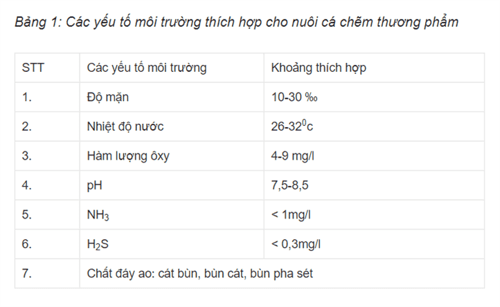 Môi trường phù hợp nuôi cá chẽm.