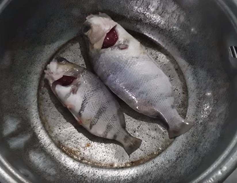 Nấu cá hồng vện