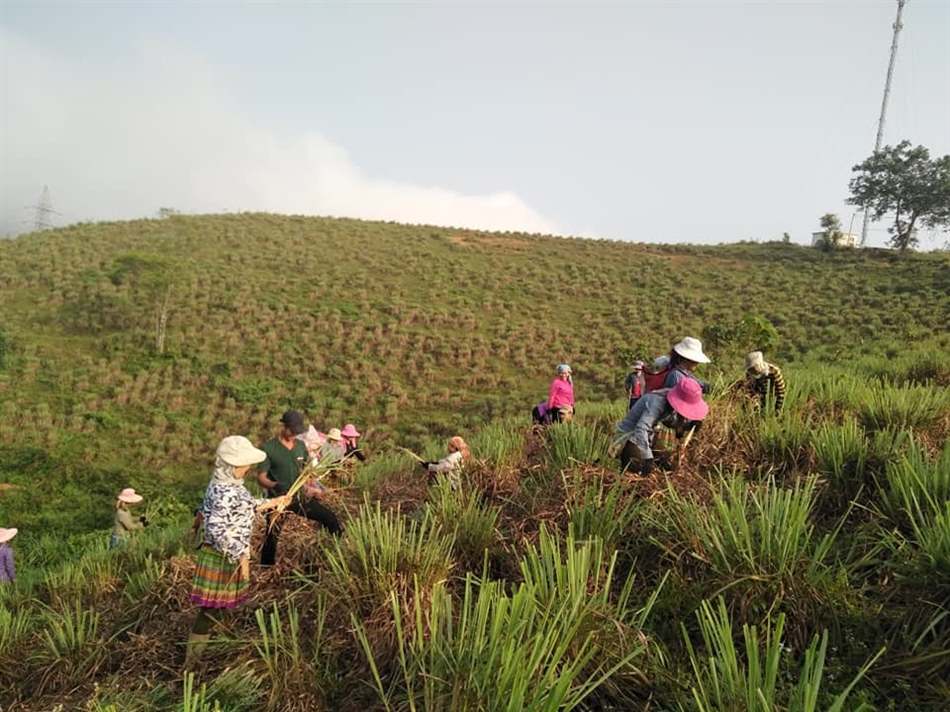 hạn chế sử dụng thuốc bảo vệ thực vật
