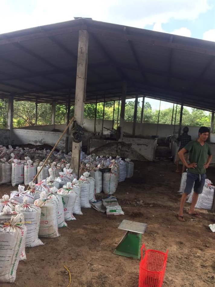 bón phân hữu cơ cải tạo đất