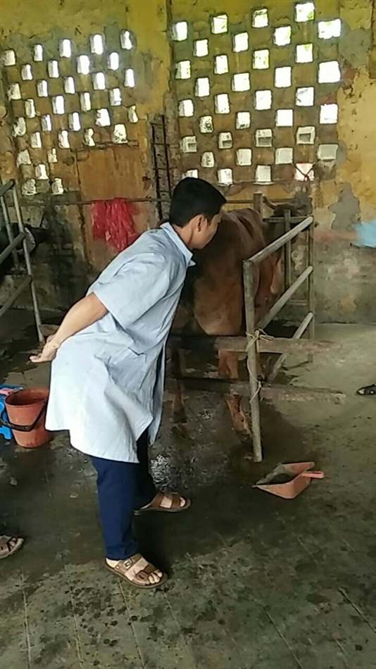 kỹ thuật cấy truyền phôi có đặc điểm gì? Còn được gọi là gì?