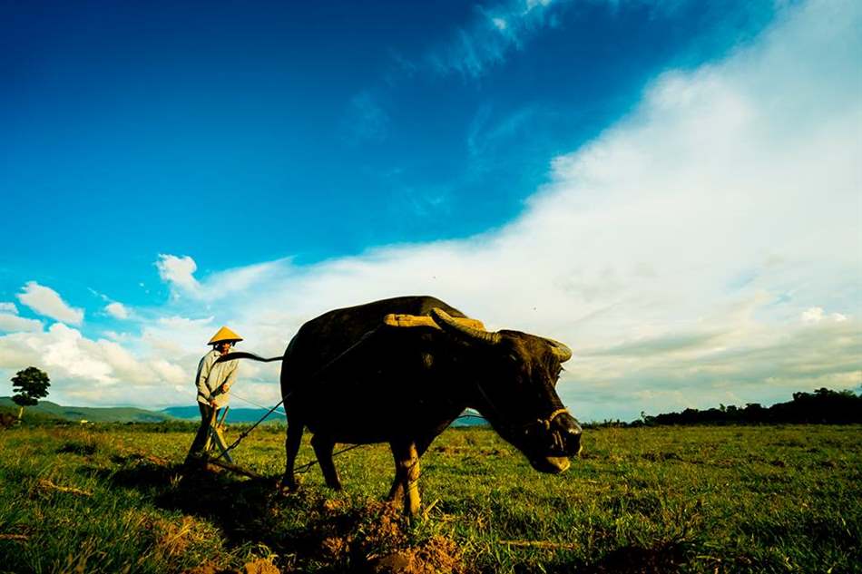 tăng độ phì nhiêu của đất