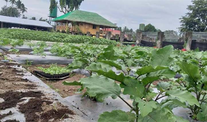 Mô hình trang trại nhỏ hiệu quả kinh tế cao ở Bắc Ninh